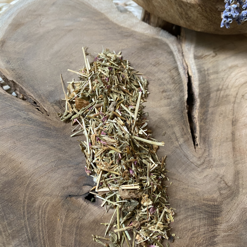 Centaurium Erythraea